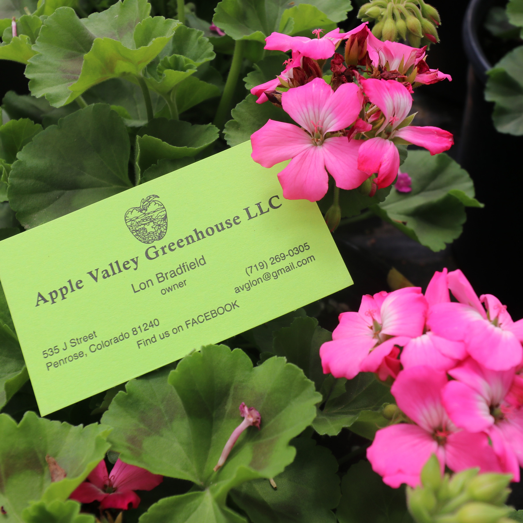 Apple Valley Greenhouse LLC